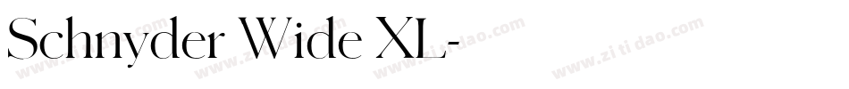 Schnyder Wide XL字体转换